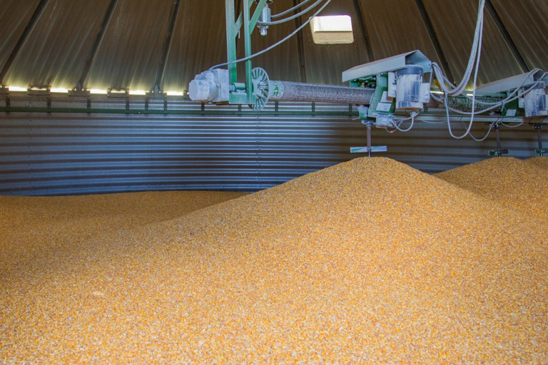 Закупочные интервенции зерна в РФ продолжатся 18 августа   